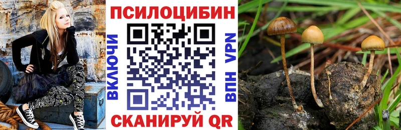 Галлюциногенные грибы прущие грибы  Яровое 